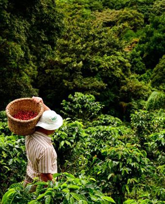 PCG Coffee Co., Ltd.